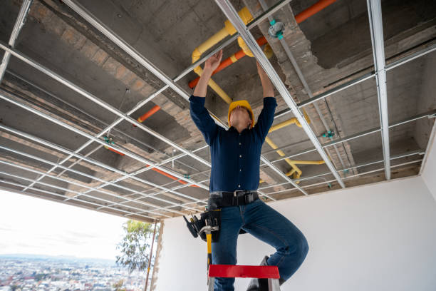 Best Clogged Drain Plumber  in Dagsboro, DE