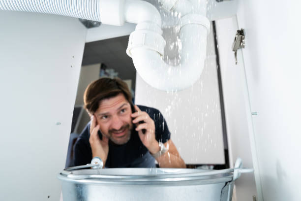 Best Residential Plumbing Services  in Dagsboro, DE