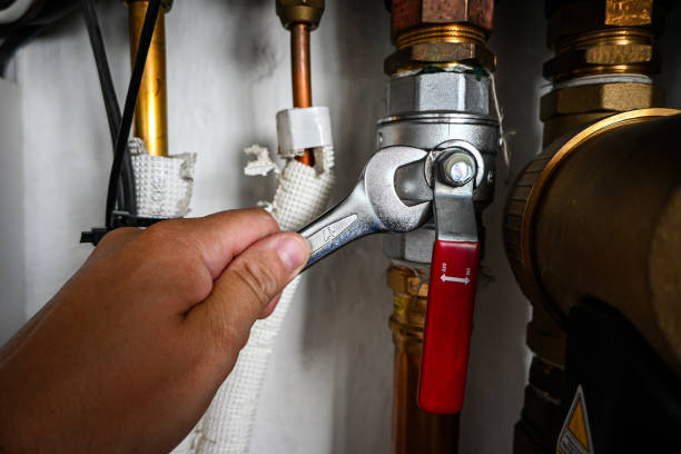 Best Commercial Plumbing Services  in Dagsboro, DE